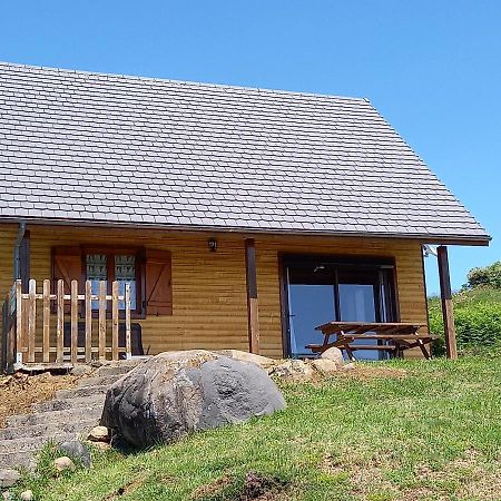 Chalet Sancy Saint-Genès-Champespe Eksteriør bilde