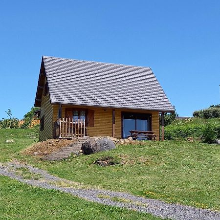 Chalet Sancy Saint-Genès-Champespe Eksteriør bilde
