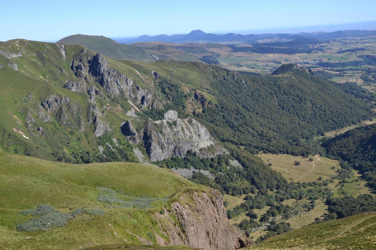 Chalet Sancy Saint-Genès-Champespe Eksteriør bilde